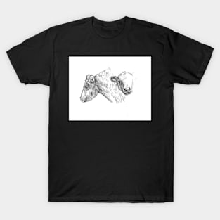 Cows sketch T-Shirt